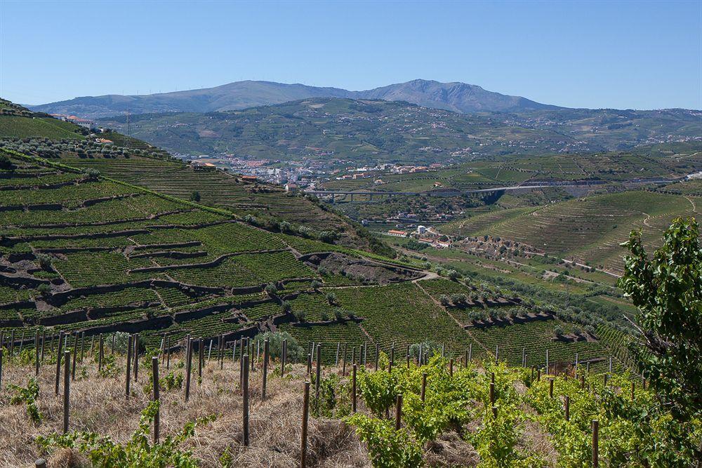 Quinta De Casaldronho Wine Hotel Ламегу Экстерьер фото